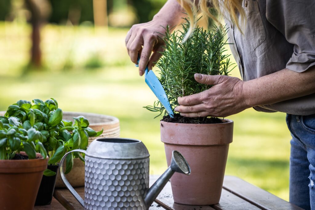 Comm'une Découverte - décorer vos jardins - événements aisne et oise