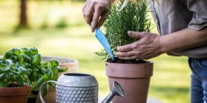 Comm'une Découverte - décorer vos jardins - événements aisne et oise