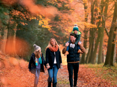 foret4