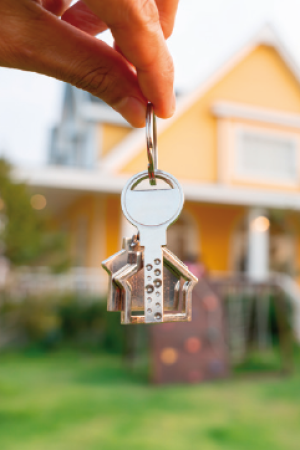 immobilier5