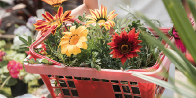 marché fleurs3